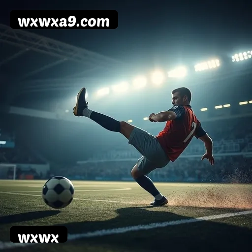 Comparação APP mobile vs versão web da wxwx