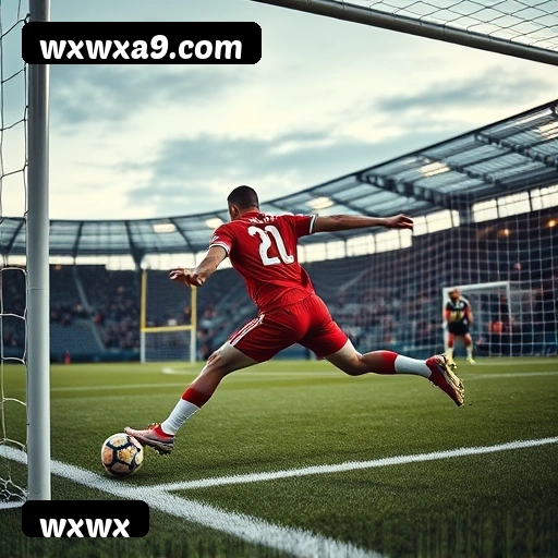 6 vantagens exclusivas do programa VIP da wxwx